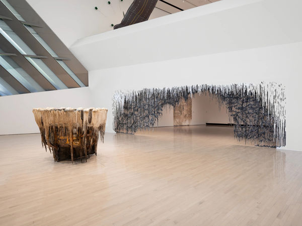 Dah Msu Broad East Lansing Install2025 2943