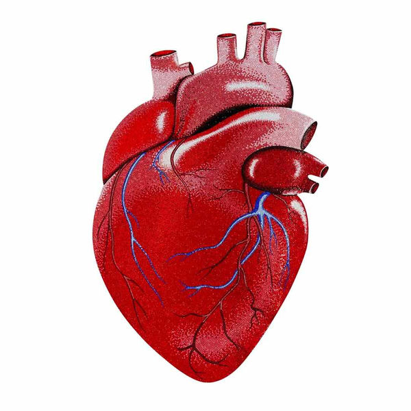 Sara Pope - Cherry Bomb, 2024