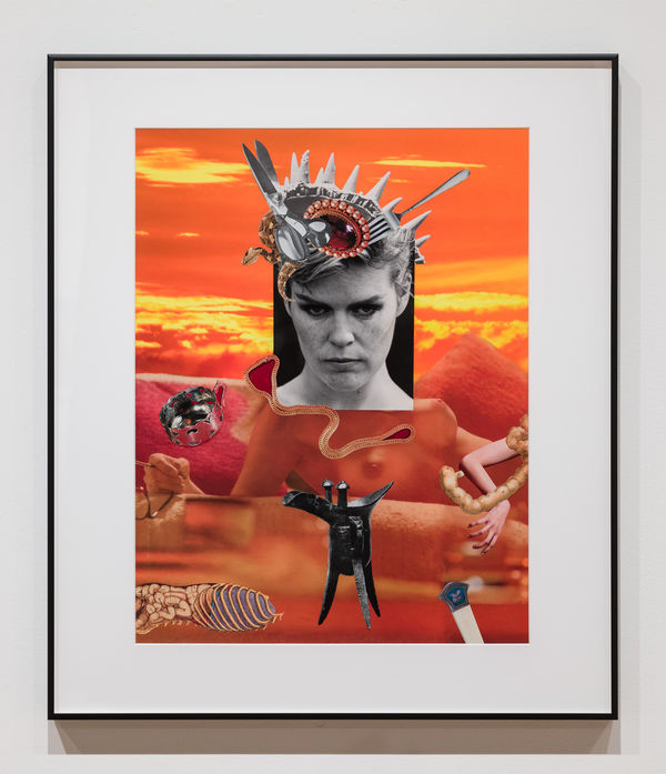 Linder, The Most Sacred Monster Of Photomontage In Her Time (portrait of Linder by Benoît Hennebert), 2025