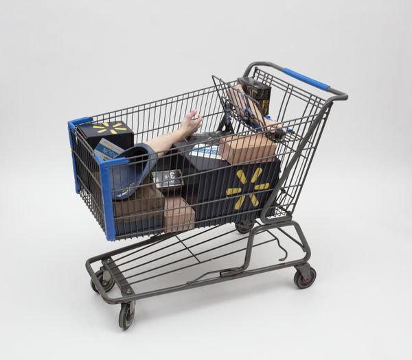 Josh Kline, In Stock (Walmart Worker’s Arms), 2018