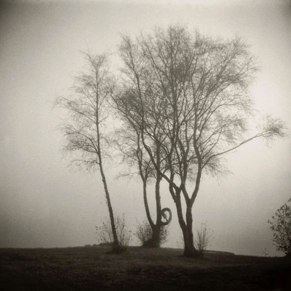 Øyvind Hjelmen - "Beeing Here"