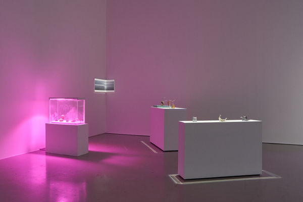 THE NATURAL PHILOSOPHERS OF THE 21ST CENTURY