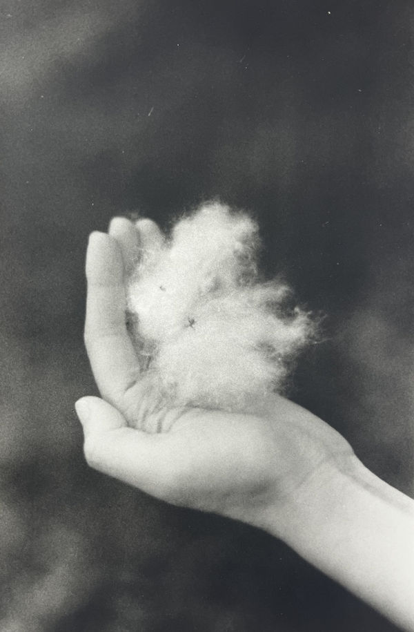 Viriya Chotpanyavisut