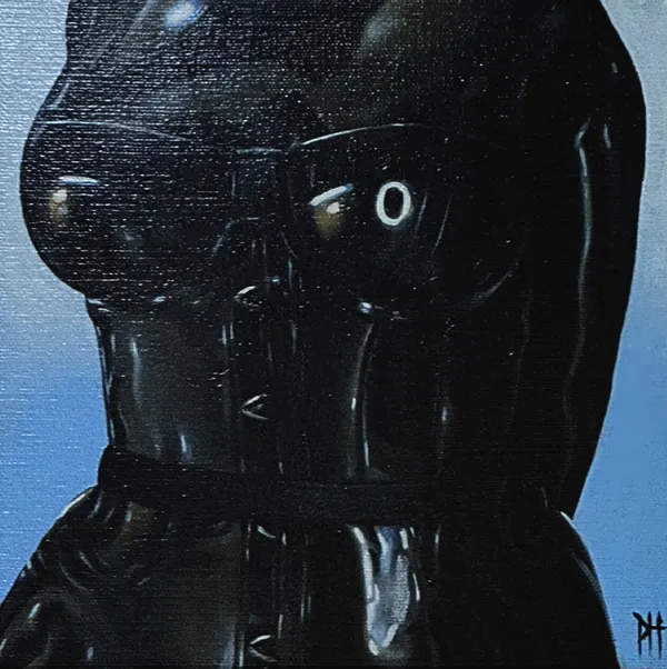 Shiny, 2024 Patrick Henne