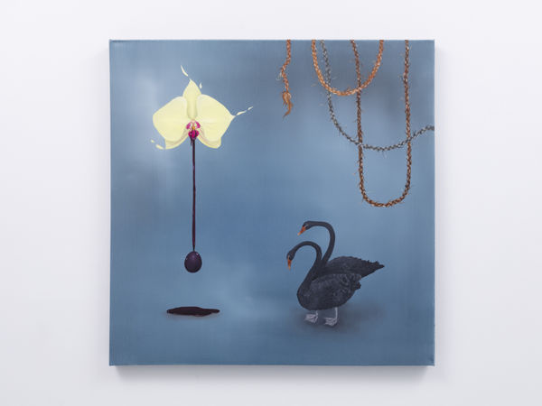 Brianna Lance Sensory and Emotional Experience, 2026 Oil on Canvas 36 x 36 inches (91 x 91 cm)