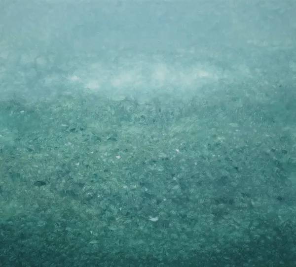 Cloud of Blossoms, 2025