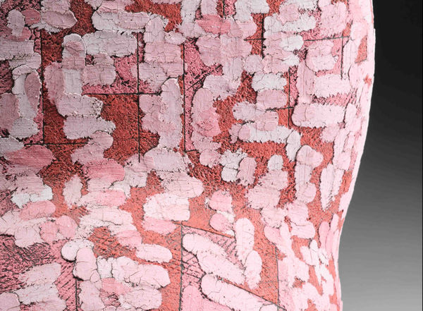 GIVING FORM TO COLOR: New Work by Sawada Hayato