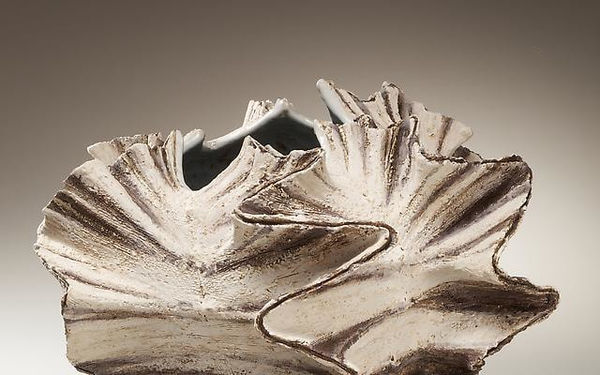 Reflections on Nature