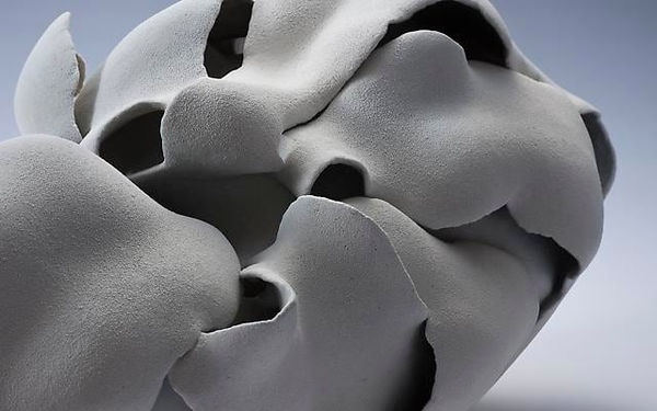 Desert Bloom: Form and Motion in Clay