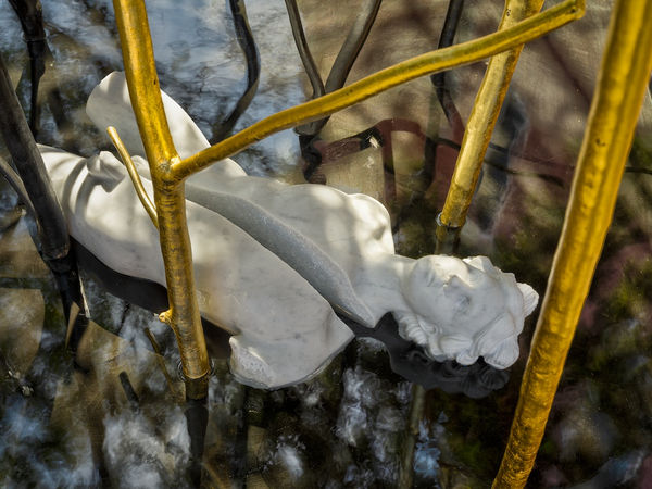 Michelangelo Galliani UN GIARDINO IMPERFETTO