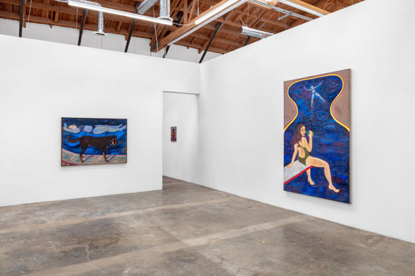 Simone Kennedy Doig 2022 Waist Deep Baert Gallery Install 02