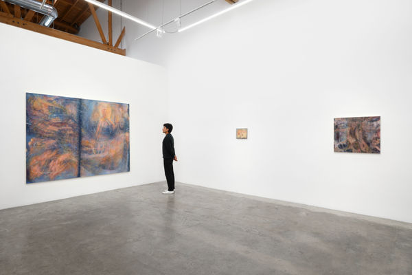 Sophie Birch 2024 Twofold Vision Baert Install 14