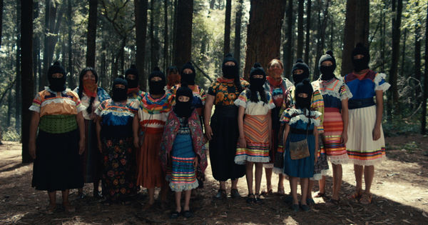 Todd Tourso, Freedom