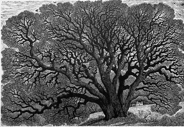 The Society of Wood Engravers