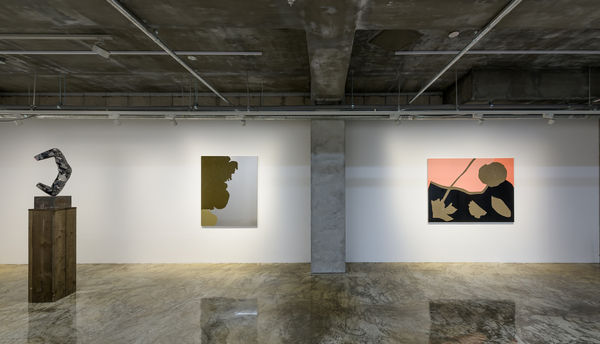 Looking and Seeing, 2019, Installation View, Barakat Contemporary