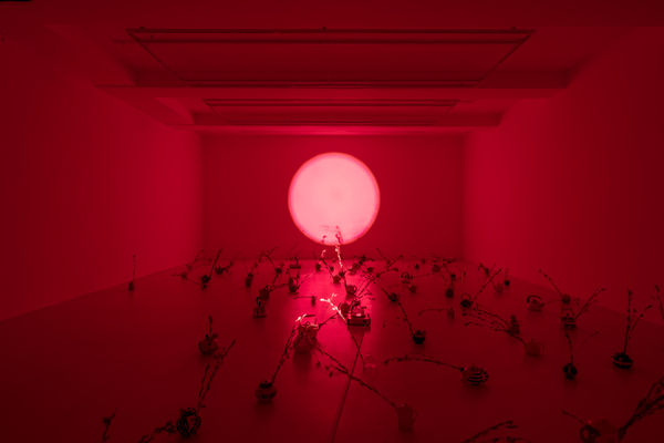 Nikita Gale, 99 DREAMS, 2025. teapots, mugwort, tea kettles, hot plates, Power and LED lighting system Lighting Design: Josephine Wang