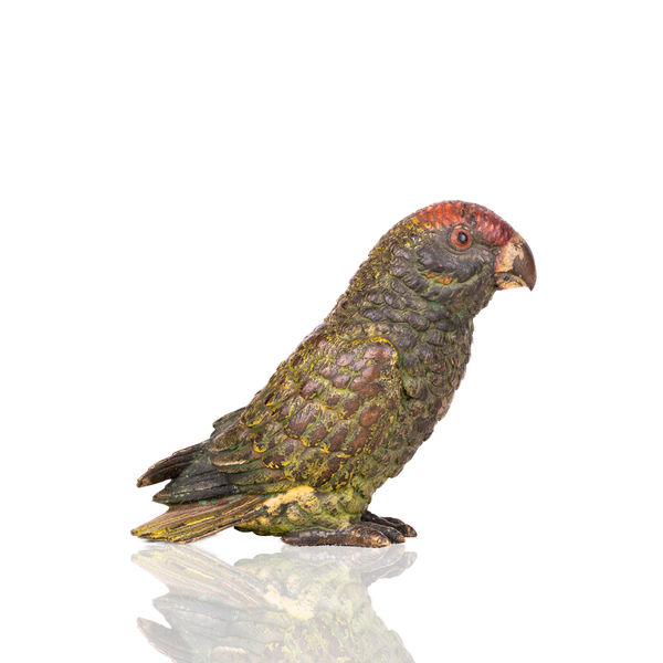 An Austrian bronze parakeet