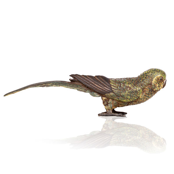 An Autrian bronze parakeet