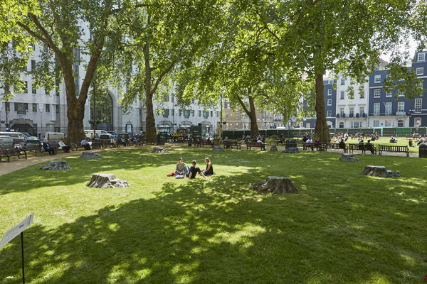 ROB AND NICK CARTER: Bronze Oak Grove