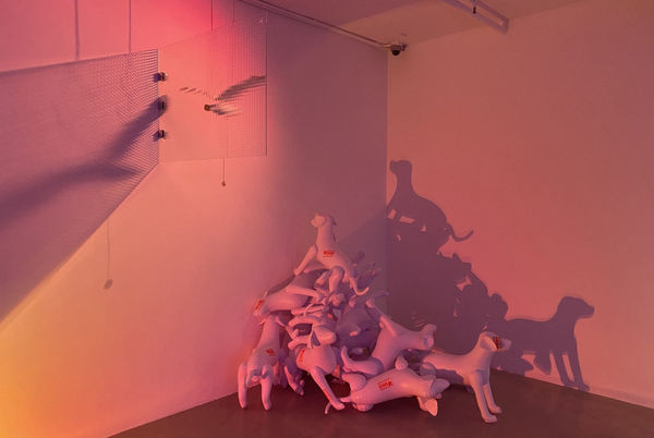 An installation of art works in a gallery with a pink light 