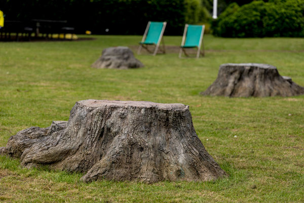 Photo: Graham Taylor