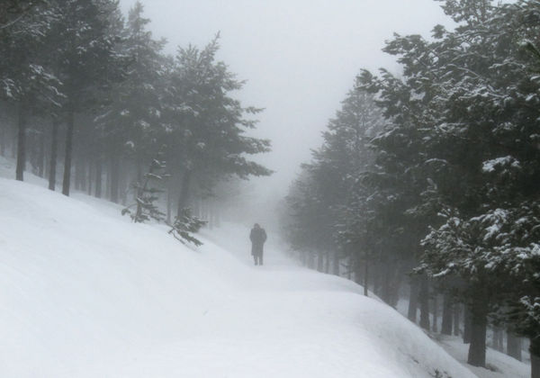 Ori Gersht, Evaders, 2009, C-print, edition of 10, 14 x 20 cm.