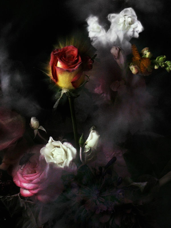 Ori Gersht, Time After Time, Untitled 20, 2006