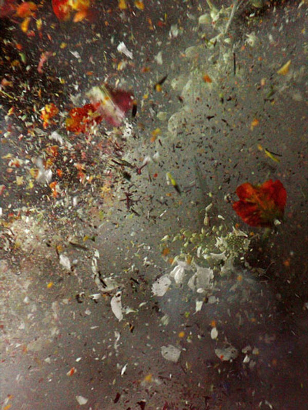 Ori Gersht, still from Big Bang, 2006