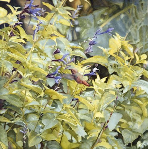 Diane Andrews Hall Hummingbird in Purple Flower, 2009 Oil on wood 20 x 20 inches 50.8 x 50.8 cm