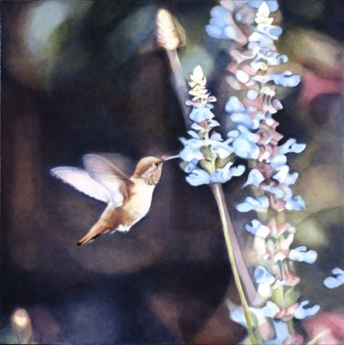 Diane Andrews Hall Hummingbird in Blue Flower, 2009 Oil on wood 10 x 10 inches 25.4 x 25.4 cm