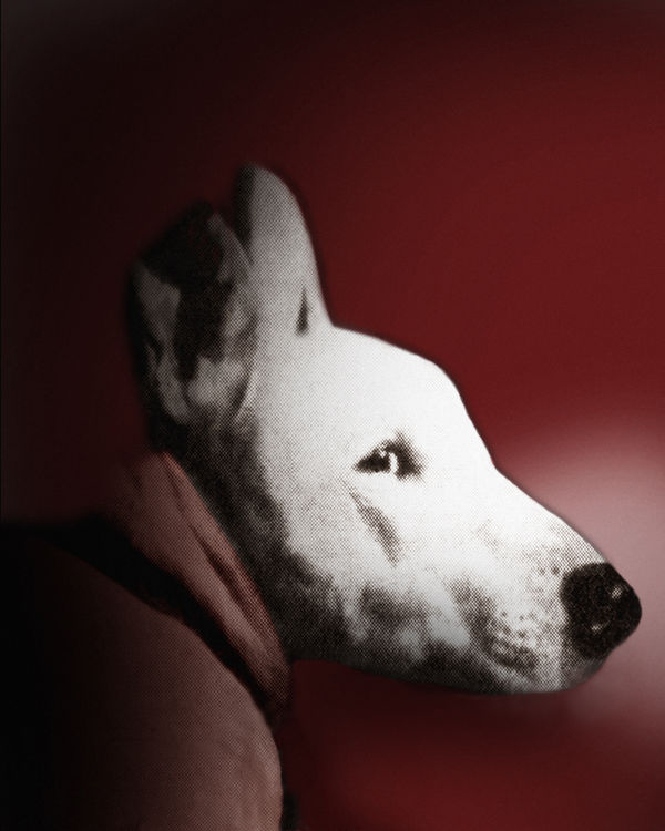 Pat Brassington, Agnes, 2022, pigment print, 65 x 52 cm, edition of 6 plus 2 artist's proofs