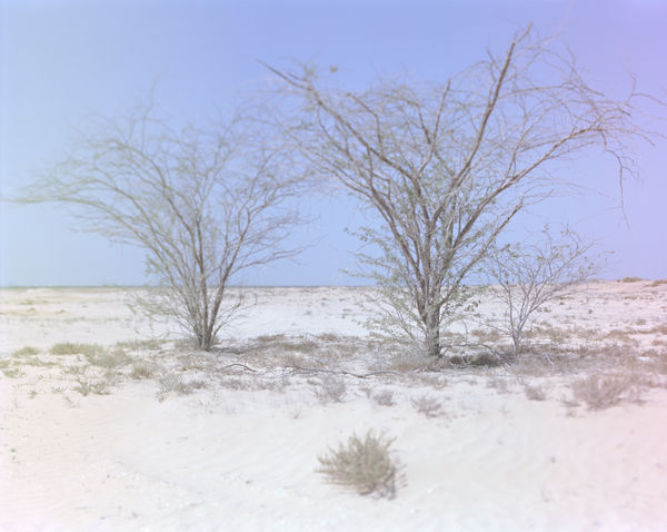 8٨ From the series Hala, 2015-2017 Archival pigment print on Hahnemuhle etching paper