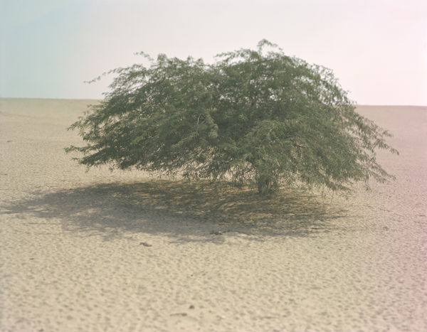 9٩ From the series Hala, 2015-2017 Archival pigment print on Hahnemuhle etching paper