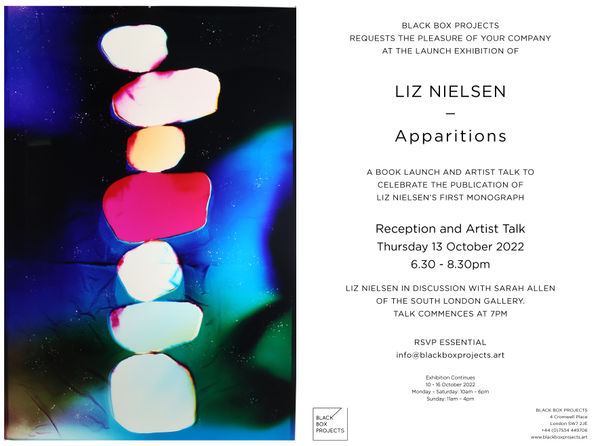 Liz Nielsen Private View Invite