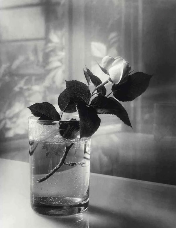 Michael Kenna | Reflections of Josef Sudek (1896-1976)
