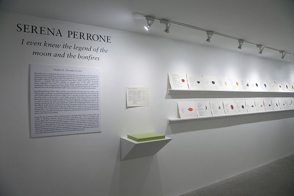 Serena Perrone Installation View, Cade Tompkins Projects