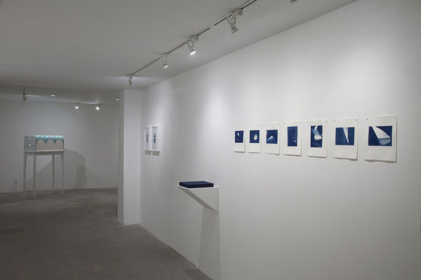 Serena Perrone Installation View, Cade Tompkins Projects