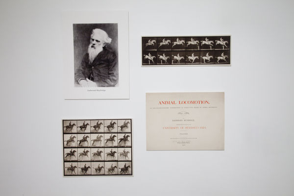 Andrew Nixon Installation View, Cade Tompkins Projects