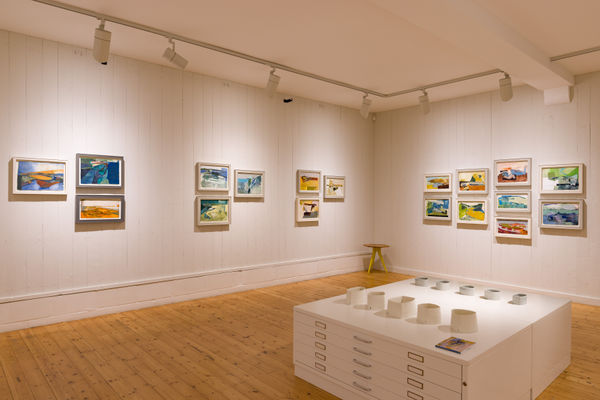 A4 Candida Stevens Gallery Anthony Gardiner Contraband Installation 1