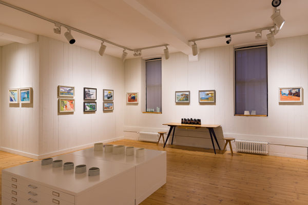 A4 Candida Stevens Gallery Anthony Gardiner Contraband Installation 3