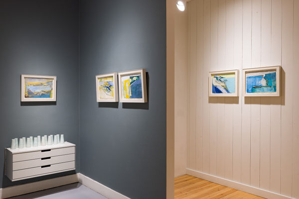 A4 Candida Stevens Gallery Anthony Gardiner Contraband Installation 5