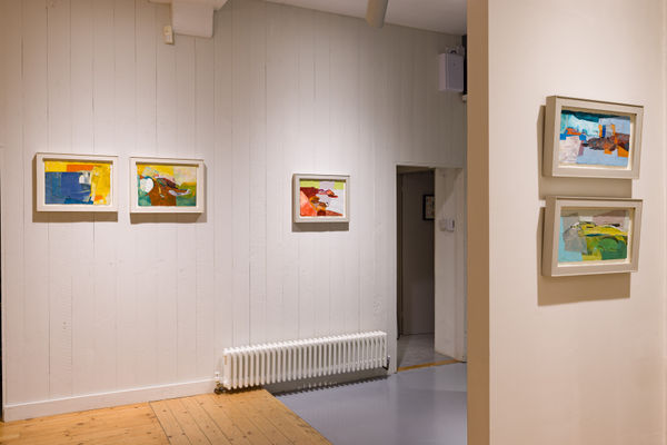 A4 Candida Stevens Gallery Anthony Gardiner Contraband Installation 7