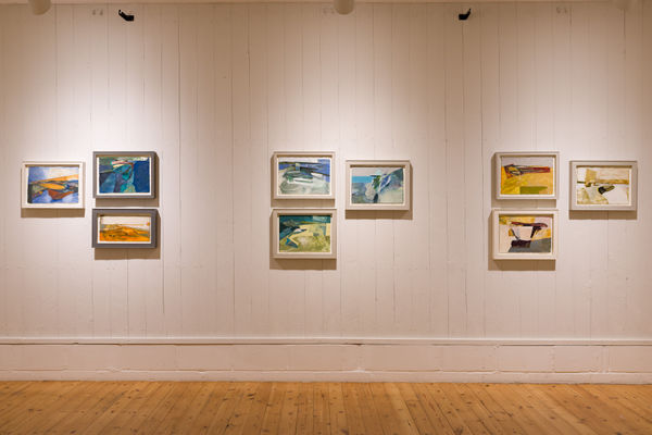 A4 Candida Stevens Gallery Anthony Gardiner Contraband Installation 8