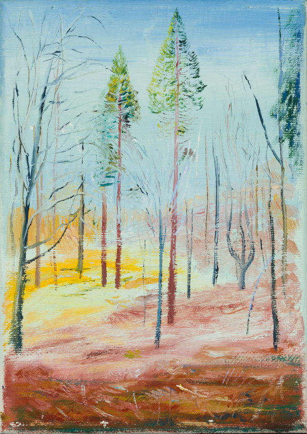 Calum McClure, Trees