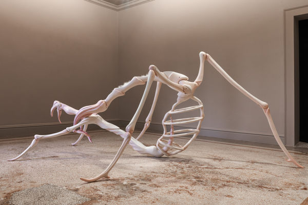 Photo 图片 © Riccardo Banfi