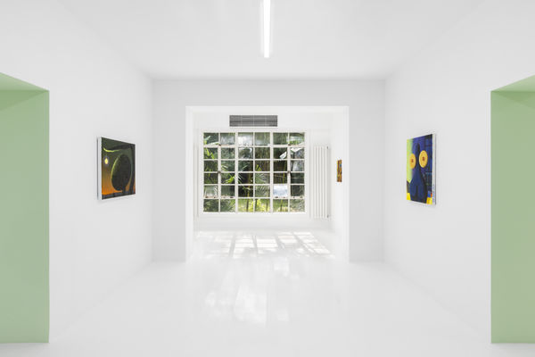 Capsuleshanghai Caizebin 12Talesofthe23Rdparallelnorth Installationview 19