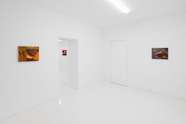 Capsule Taosiqi Thenakedeye Installationview 10