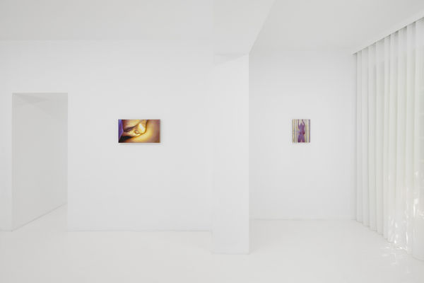 Capsule Taosiqi Thenakedeye Installationview 25