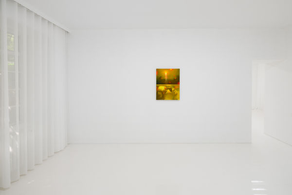 Capsule Taosiqi Thenakedeye Installationview 31