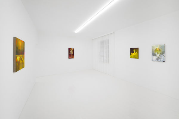 Capsule Taosiqi Thenakedeye Installationview 35